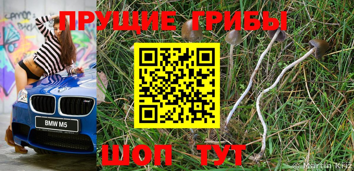 Галлюциногенные грибы Magic Shrooms  как найти наркотики  Орск  Вход с VPN 