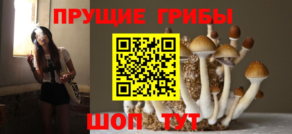 Псилоцибиновые грибы Psilocybine cubensis Орск